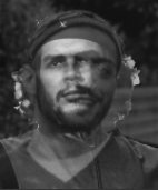 alb_che.jpg
